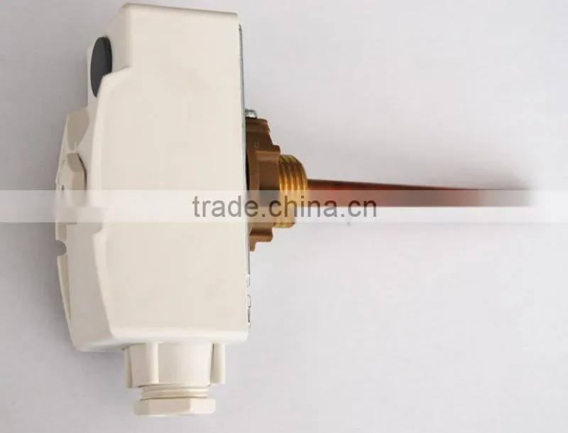 Immersion thermostat
