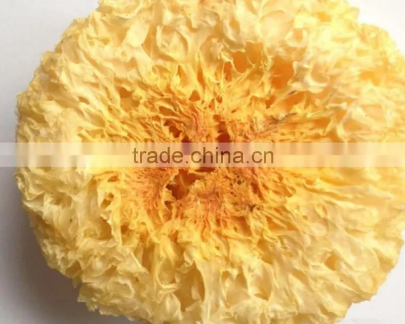 Low Price Tremella Chinese White Fungus
