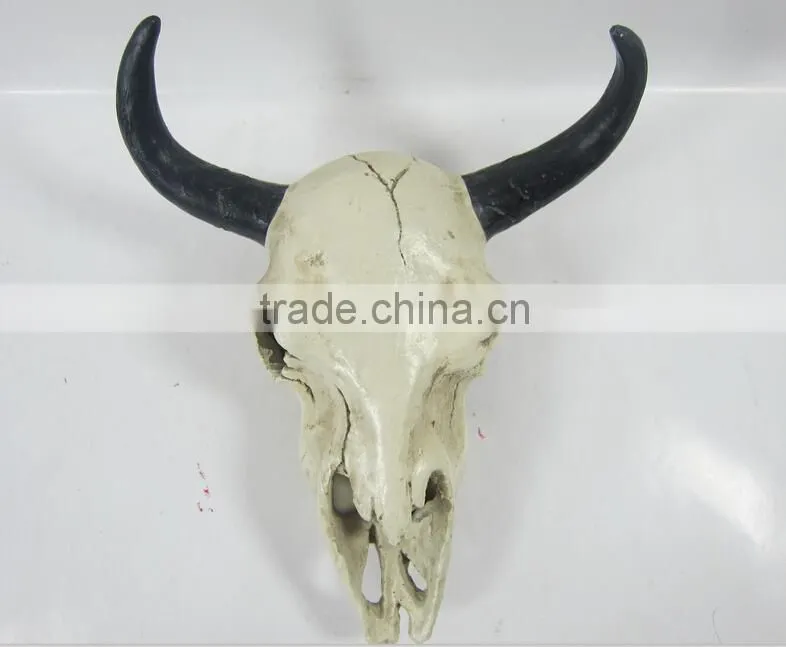 Human and Animal Resin Skull,Customized Skull