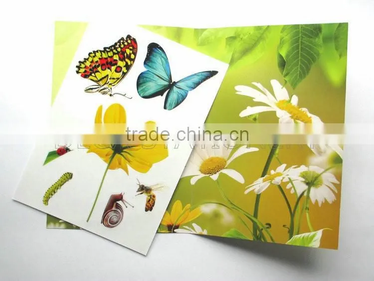 scene sticker,sticker scene,sticker set play scene