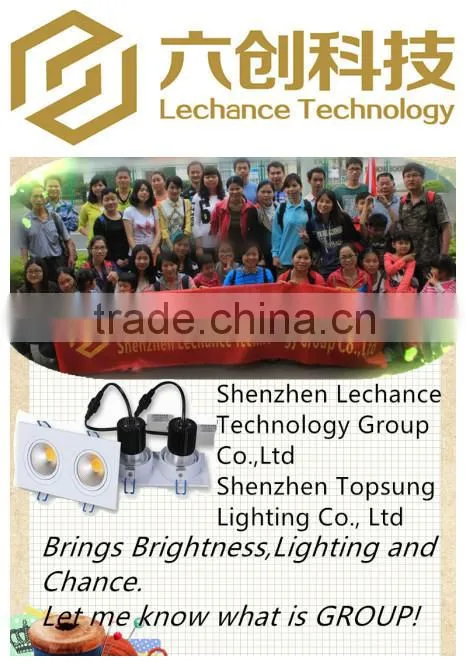 auto light strip/car light strip/335 led light