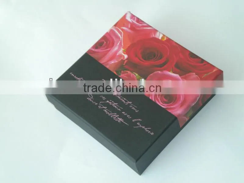 2013 Elegant Paper Bag for shopping,gift, garment,cloth