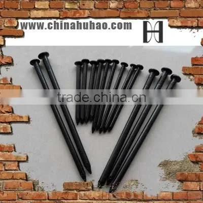 quality polished common iron nails wire nails huhao tianjin polished nails use for concrete wall