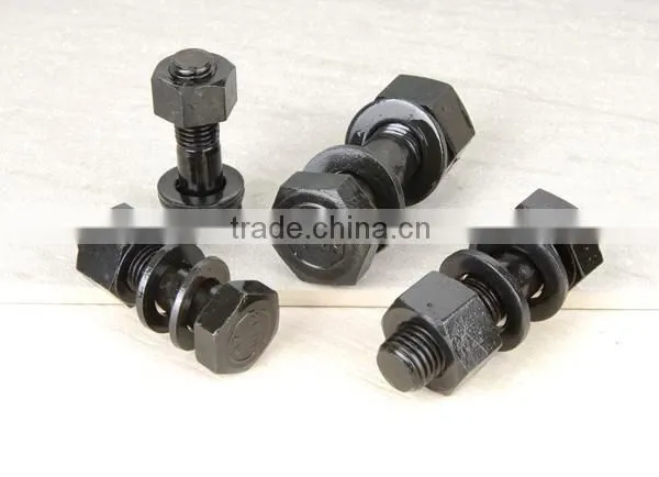 Stainless steel hex bolt nut