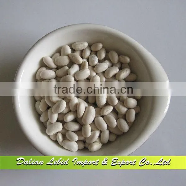 Supplying High Quality Japanese Type White Beans,New Crop