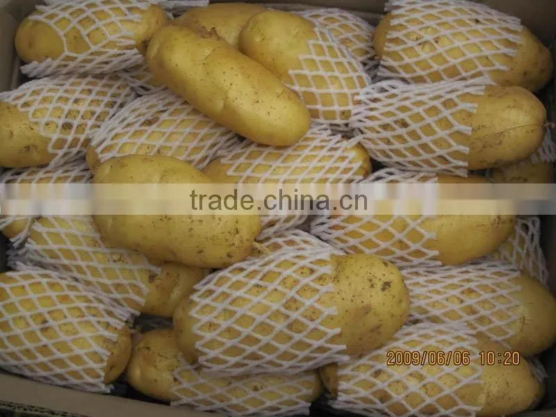 potato
