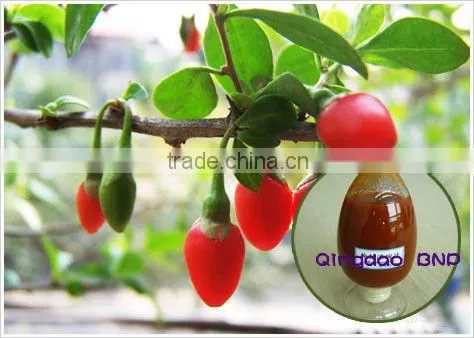100% water soluble top quality organic functional red yeast rice extract