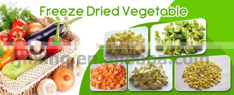 Fashionable antique sell freeze dried sweet corn