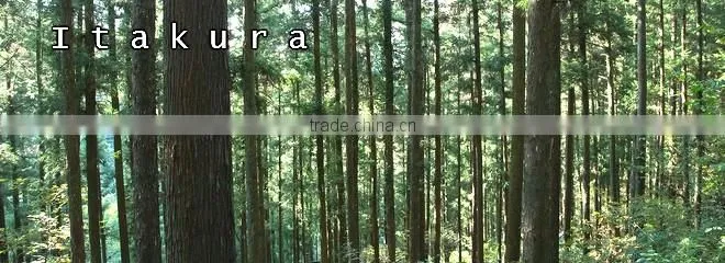 Luxury and Premium Interior Furniture Custom Design with Hinoki Cypress Made in Japan