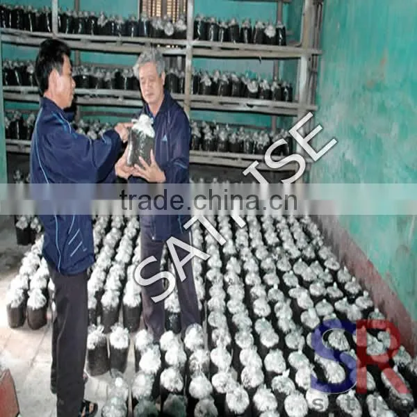 2016 China Provide sterilizer clean bench mushroom cultivation