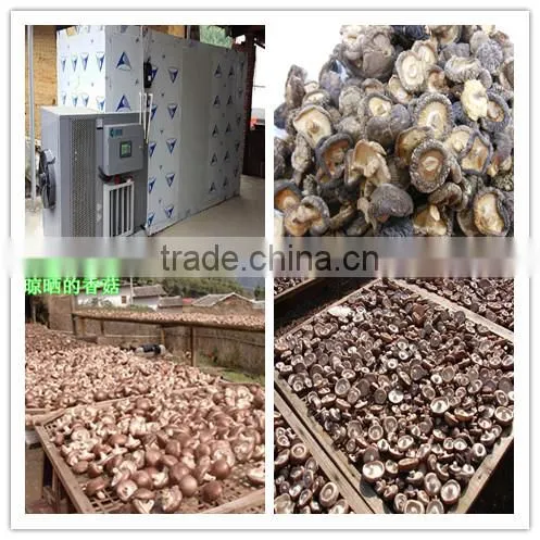 hot sale log white flower mushroom