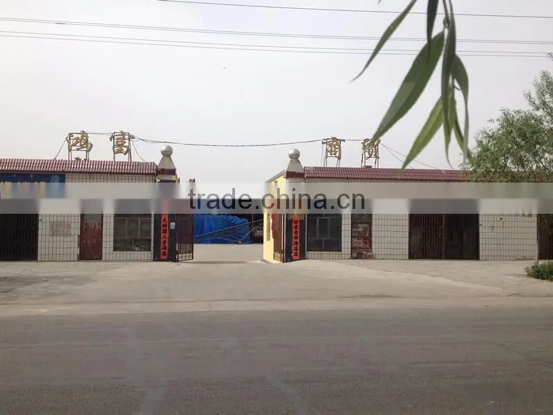 Xinjiang black watermelon seeds for importers