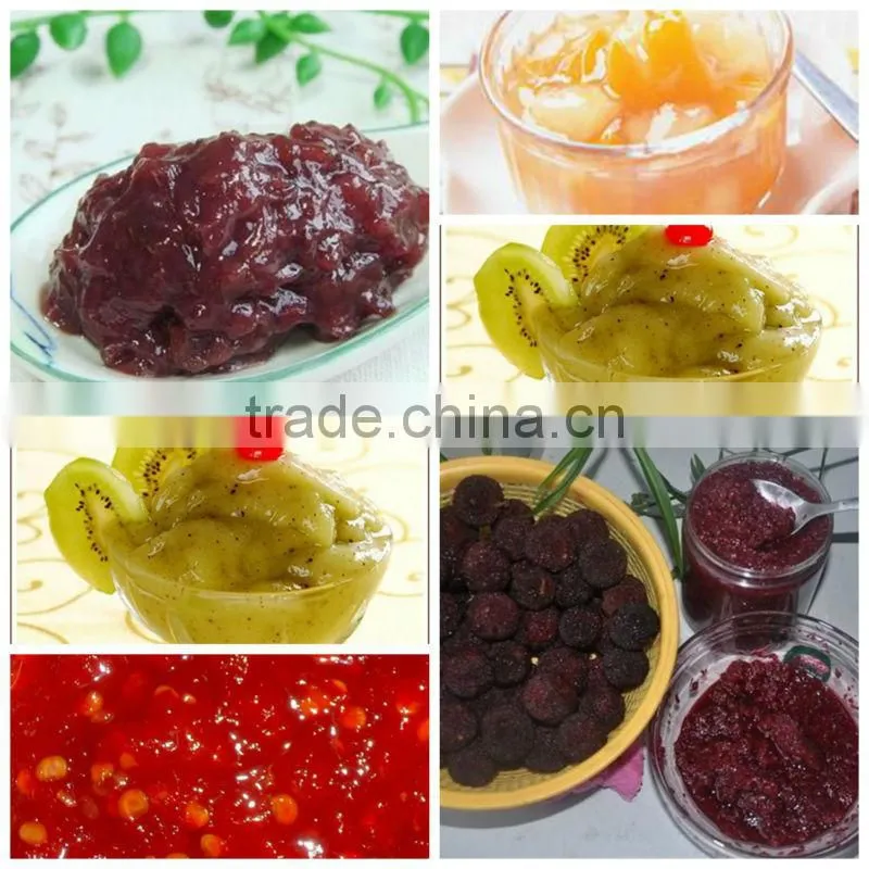 Hot sale ! fruit pulp extractor machine