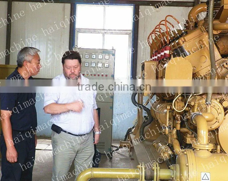 200KW biomass power plant(green to energy)