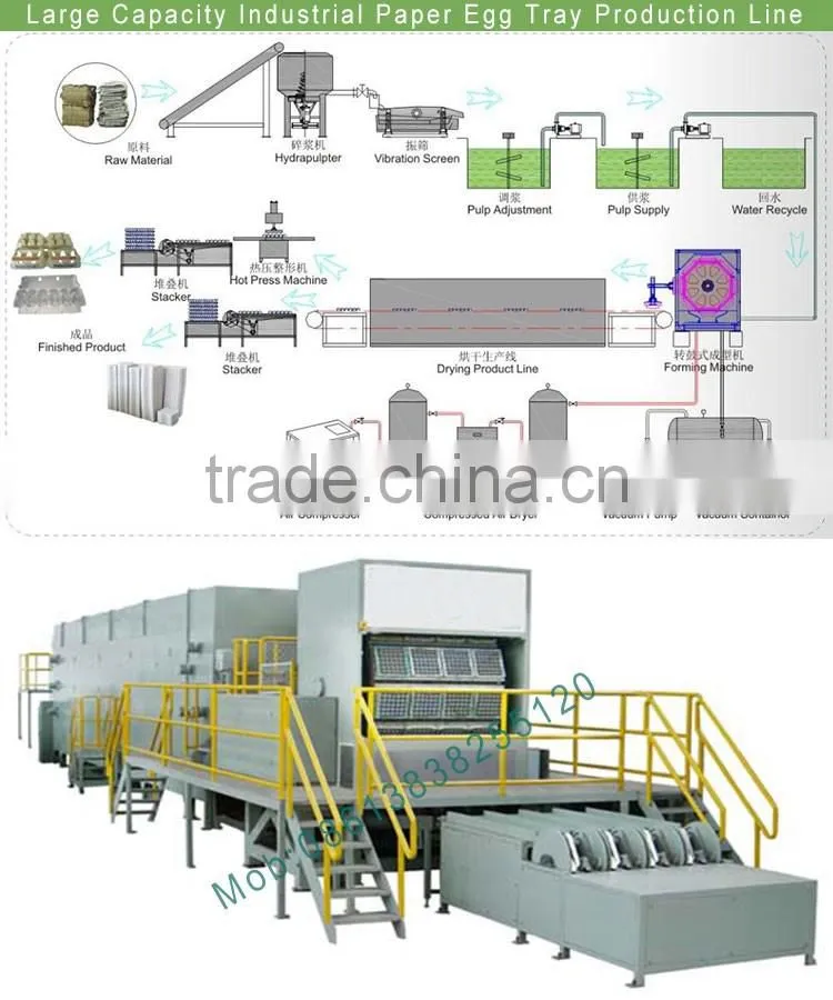 Machine Manufacturer Germany-Tec Paper Egg Tray Making Machine