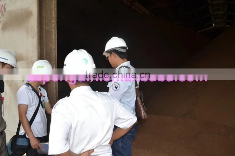 80TPH palm oil extraction machine price