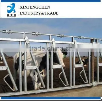 Cattle head lock