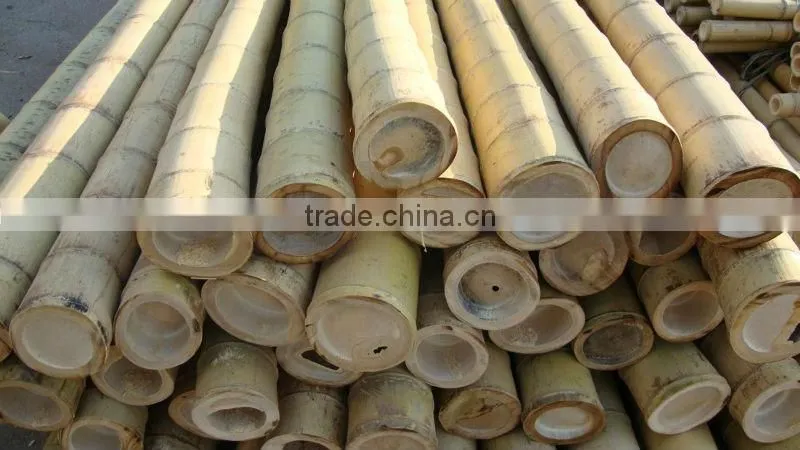 chaep tonkin bamboo poles for sale