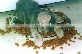 Feline cat food for Adult and Kitten