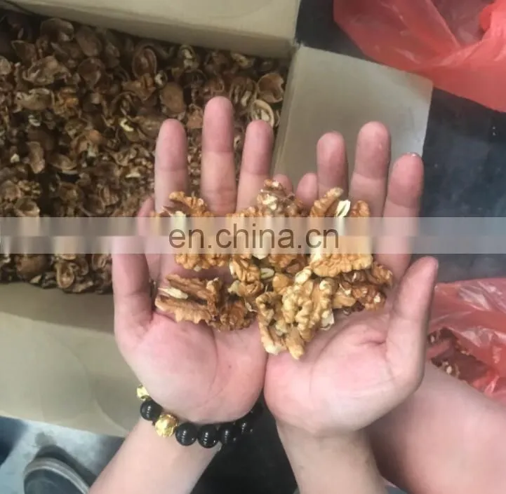 Automatic almond walnut shelling cracking cracker machine in United States
