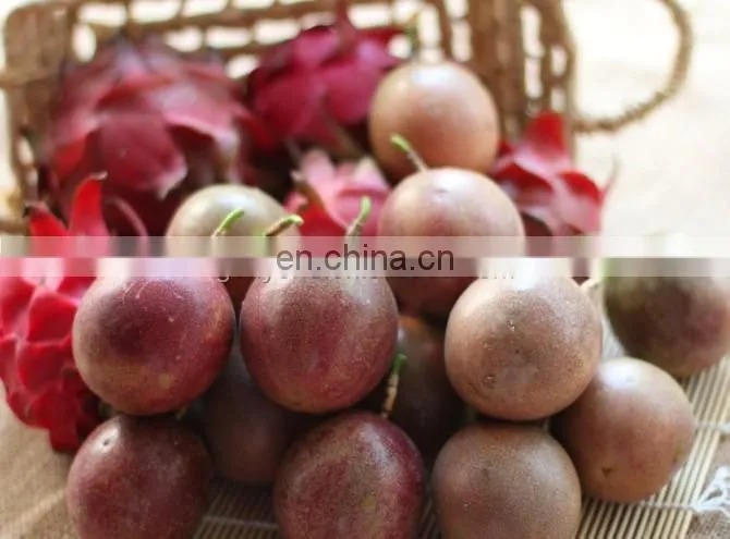 complete automatic passion fruit juice processing machine