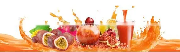 Small Automatic Fruit Pineapple Orange Juice Juicer Maker Processing Production Line