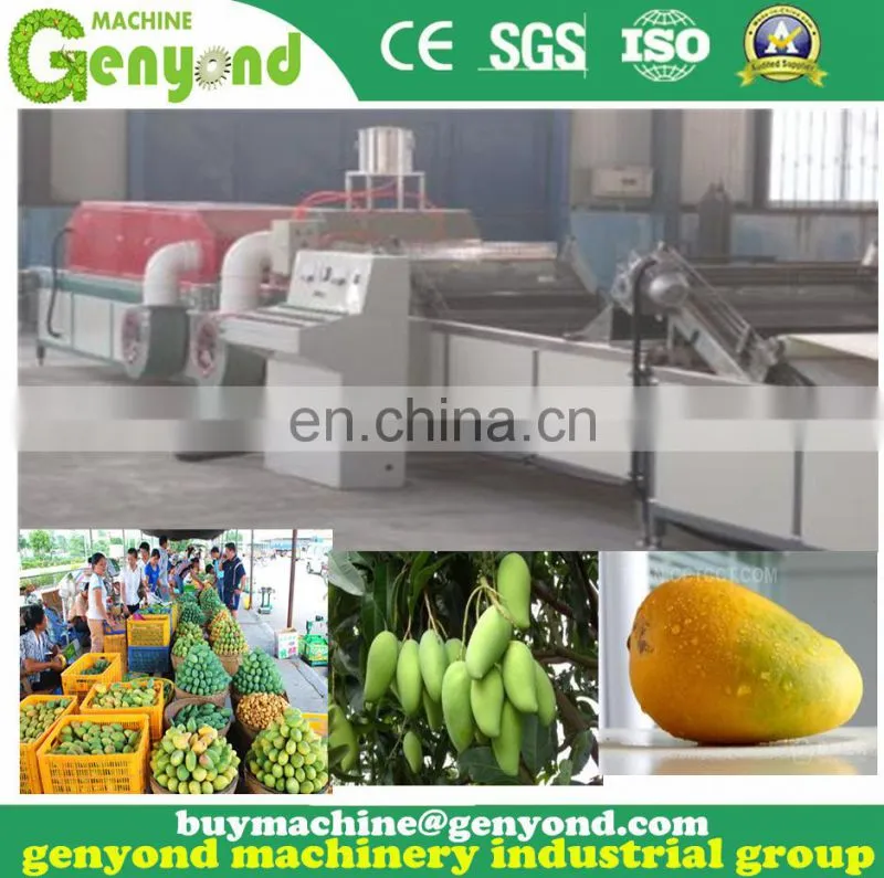 Small mango processing machine