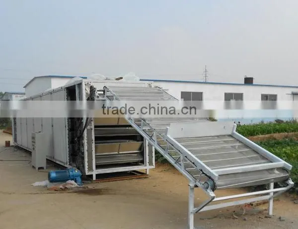 Wood Sawdust Mesh Belt Dryer / Sawdust Mesh Belt Dryer With CE Certification