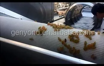 Raisin Cleaning Machine for the Raisin Processing