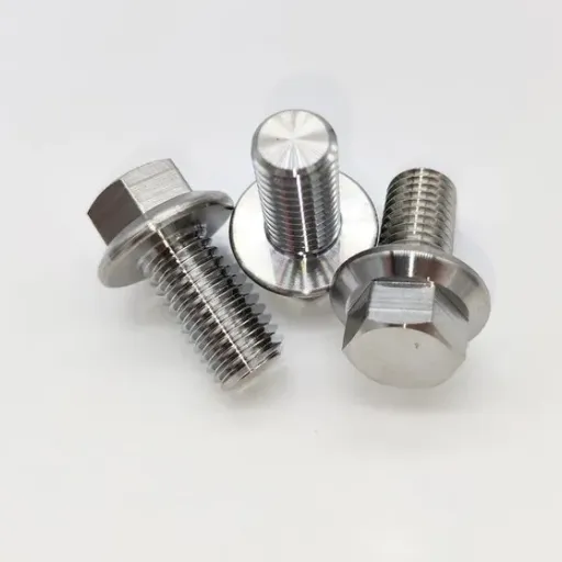 titanium fasteners (2)