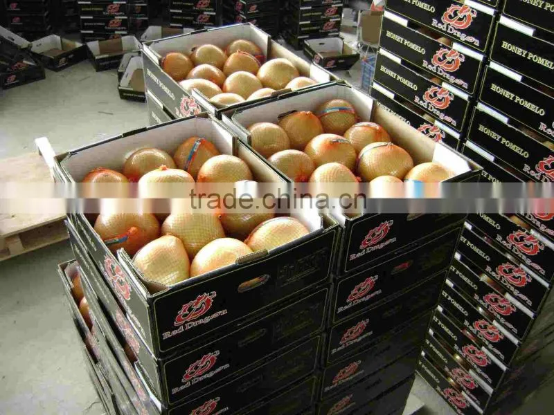 China Pomelo fruit