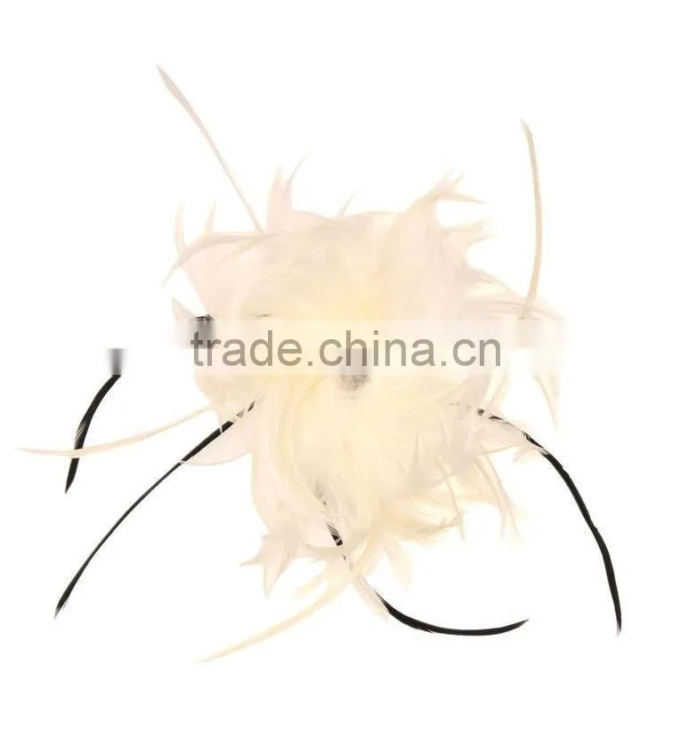 Fancy Feather Hair Fascinator/Clip/Barrettes