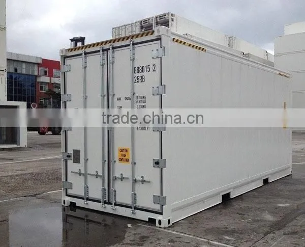 20' 40' New Reefer Container High Cubes