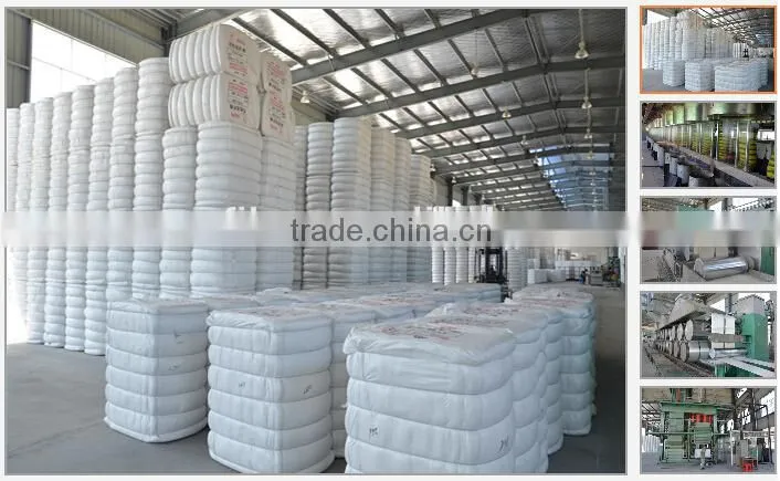 pet staple fiber