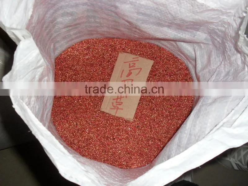 2016 Newest Forage Grass Seeds Gaodan Grass Seeds Sorghum sudan grass seeds For Growing