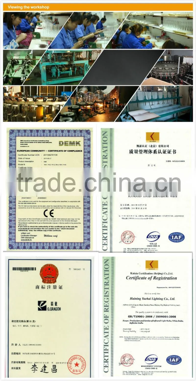 heat resistant bulb R63 reflector bulb