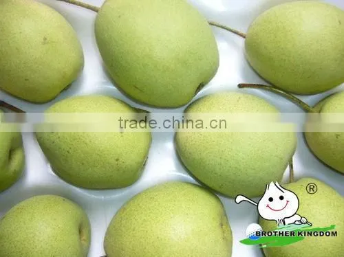 China shandong pear 15kg carton