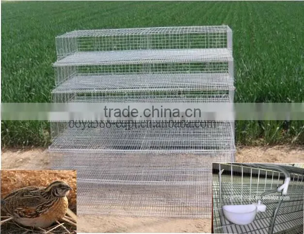 quail cage with cup type automatic drinker for poultry farming