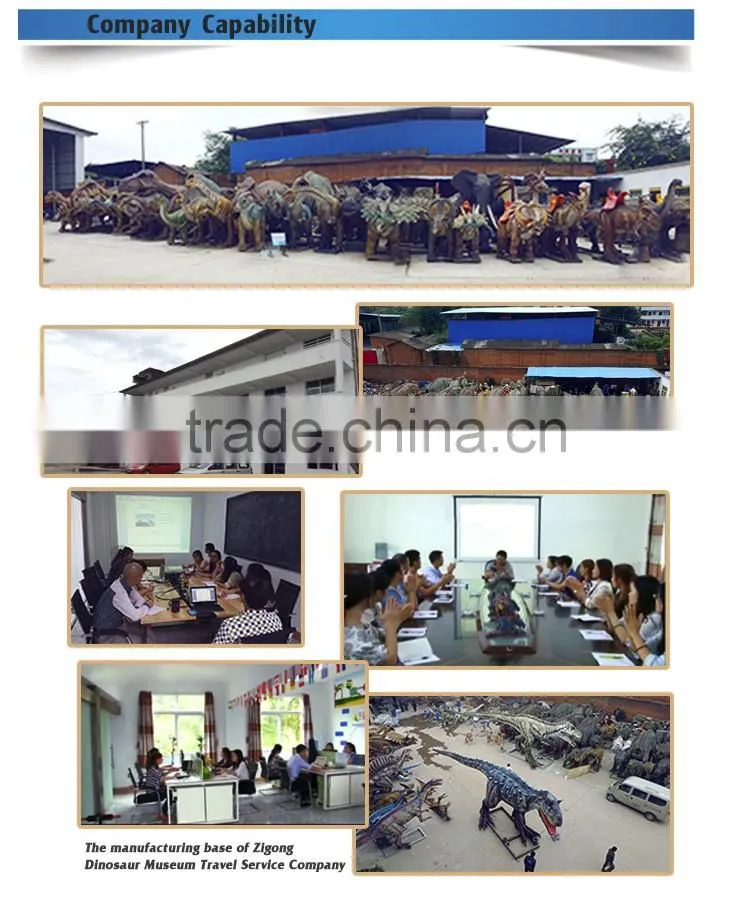 OA-SD-L36 Exhibition equipment dinosaur fossil skeleton replica
