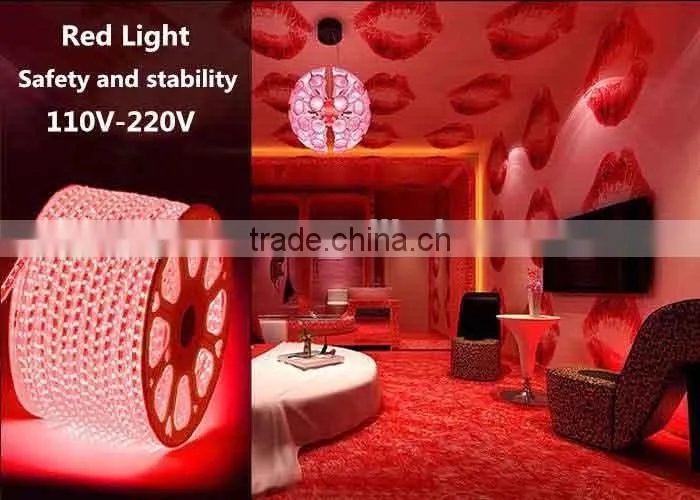 High Quality Outdoor Wall Lighting AC110-230V Strip Light Flexible Rope Light