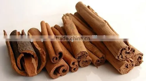 Pure Cinnamon Oil On Best Price From Borg Export