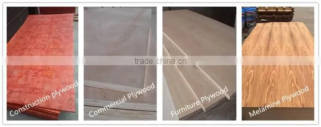 Furniture Grade Laminated 18mm Birch Plywood