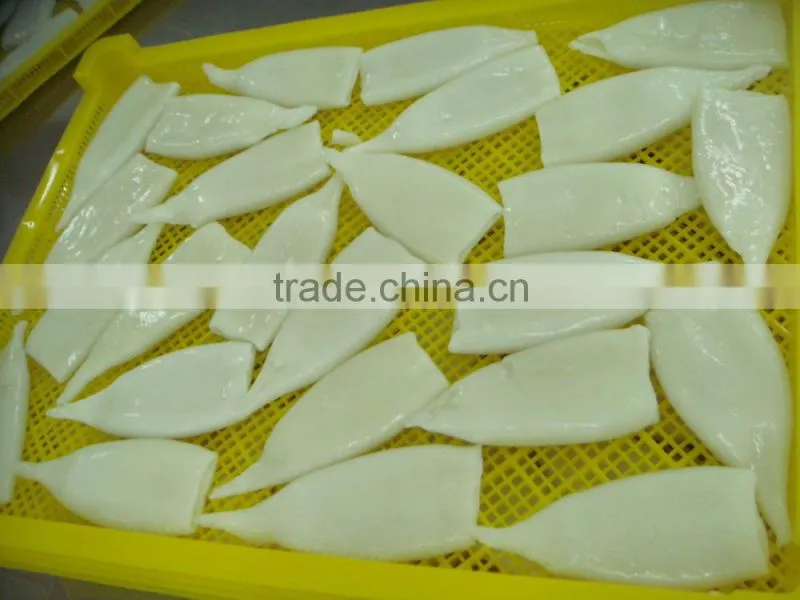 Frozen Squid