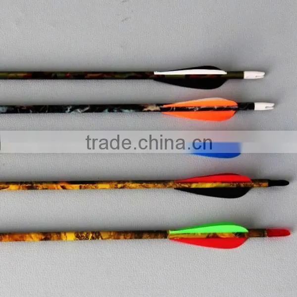 78cm Plastic Feather Carbon Arrow with Steel Point