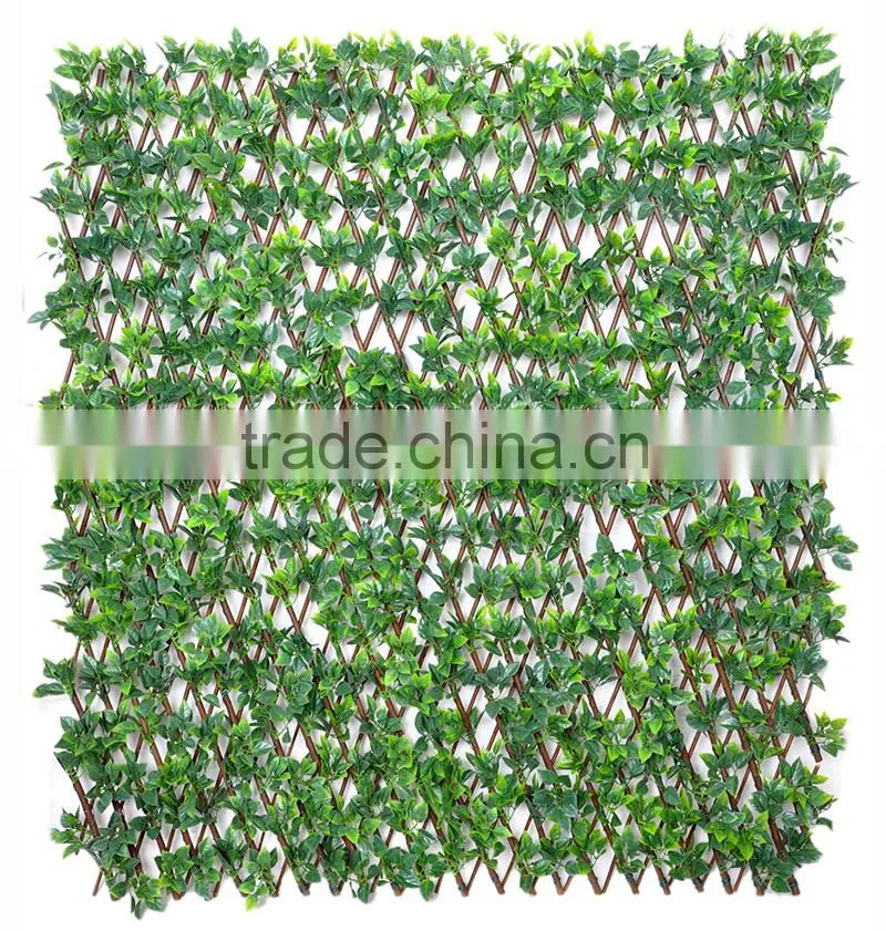 Garden trellis