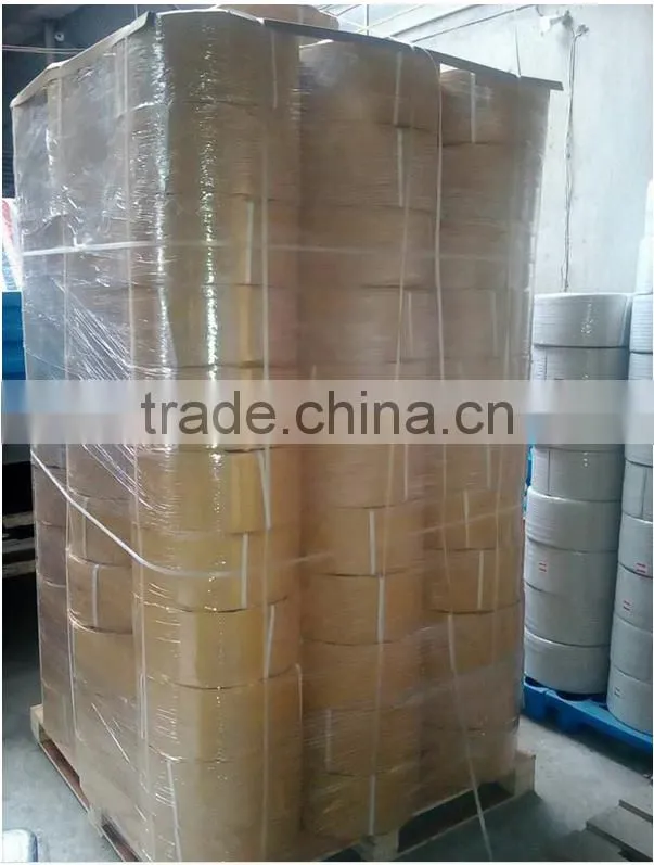 Factory price PP strapping