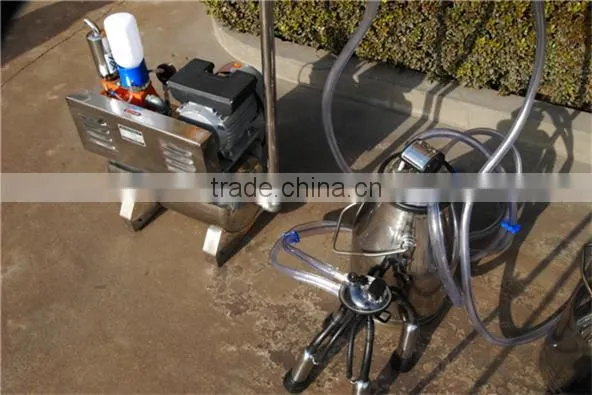 fixed pipeline milking machine group for two cows