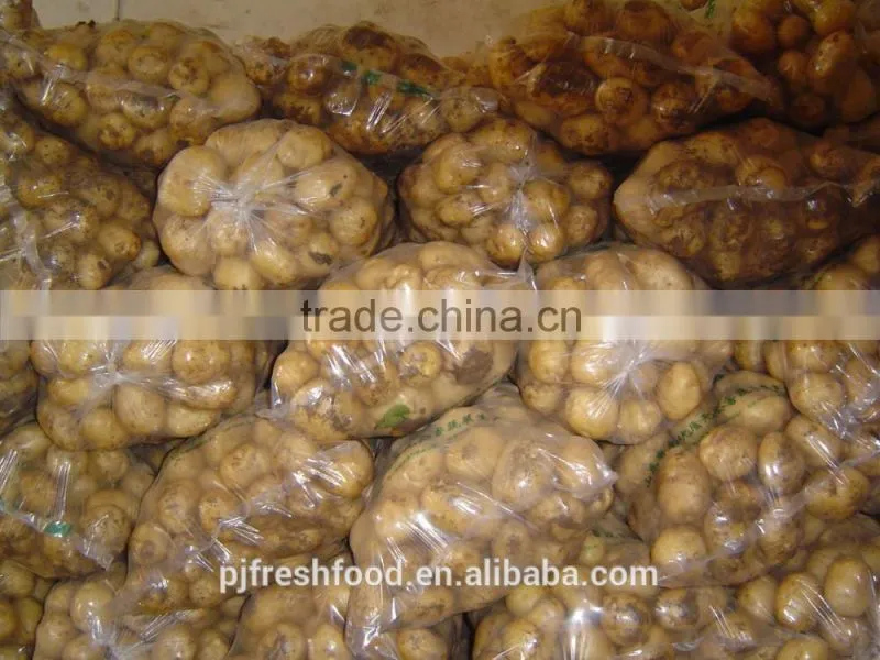 2015 Autumn Crop Potato