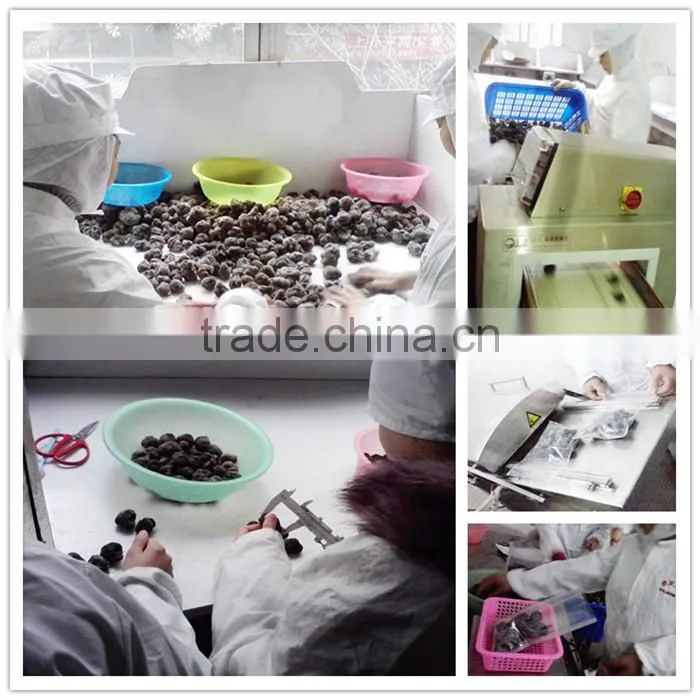Chinese Black Truffle price