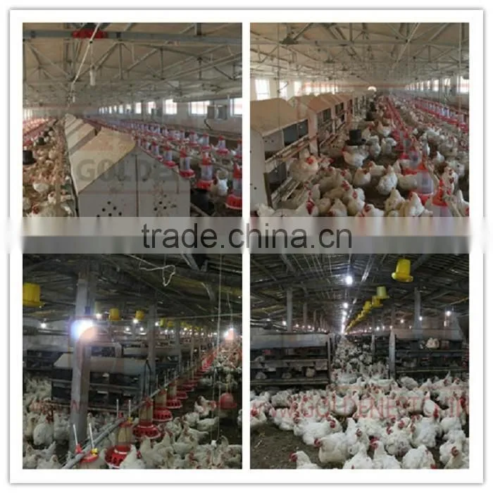 Goldenest Poultry equipment Cheap Price 24 Metal Chicken Nesting Laying Boxes For Hens House